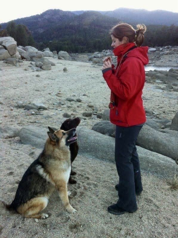 Noemí trabajando con dos perros en sesión